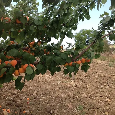 A Robba De Pupi Bed & Breakfast 3*