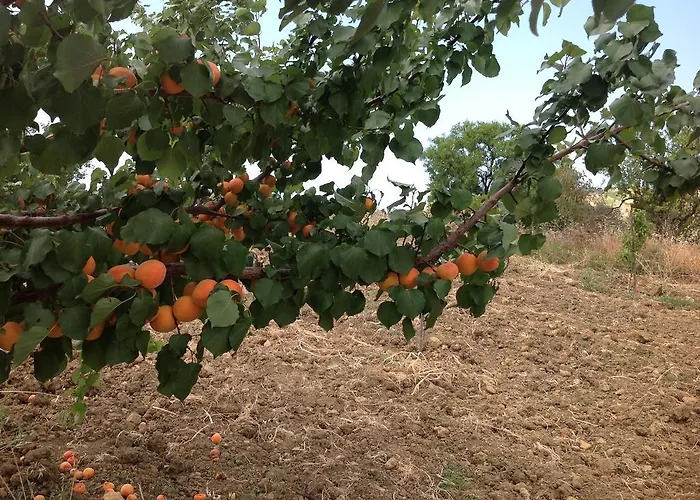 A Robba De Pupi Nocleg ze śniadaniem 3*